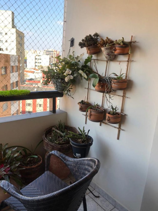 Imagem Apartamento com 4 Quartos à Venda, 115 m² em Nova Petrópolis - São Bernardo Do Campo Imagem Apartamento com 4 Quartos à Venda, 115 m² em Nova Petrópolis - São Bernardo Do Campo