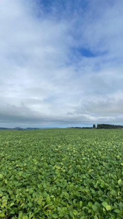 Imagem Fazenda à Venda, 2.698 m² em Rural - Itaporanga Imagem Fazenda à Venda, 2.698 m² em Rural - Itaporanga