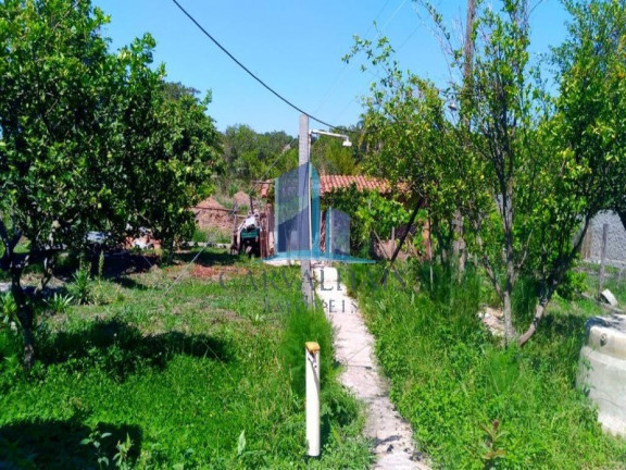 Imagem Imóvel com 2 Quartos à Venda, 2.500 m² em Andiroba - Esmeraldas