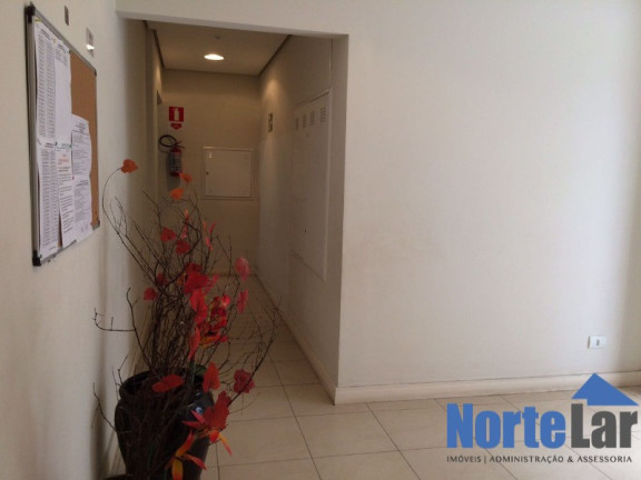 Imagem Apartamento com 3 Quartos à Venda, 55 m² em Vila Amália (zona Norte) - São Paulo Imagem Apartamento com 3 Quartos à Venda, 55 m² em Vila Amália (zona Norte) - São Paulo