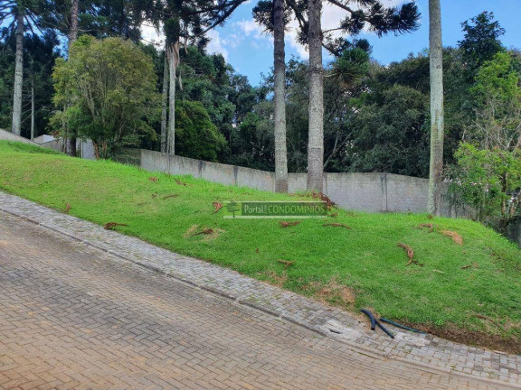 Imagem Terreno à Venda, 607 m² em Campo Comprido - Curitiba Imagem Terreno à Venda, 607 m² em Campo Comprido - Curitiba