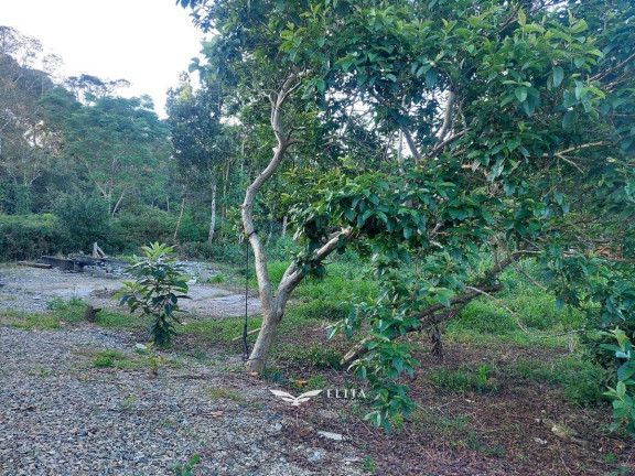 Imagem Terreno à Venda, 1.001 m² em Quinta Dos Açorianos - Barra Velha Imagem Terreno à Venda, 1.001 m² em Quinta Dos Açorianos - Barra Velha