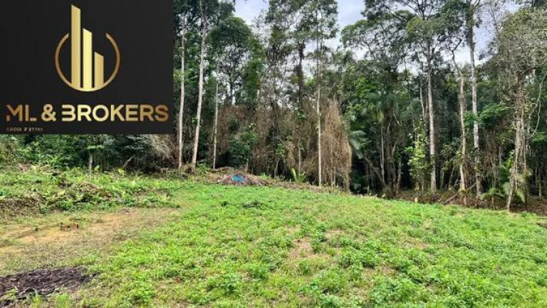 Imagem Imóvel à Venda, 40.000 m² em Centro - Antonina