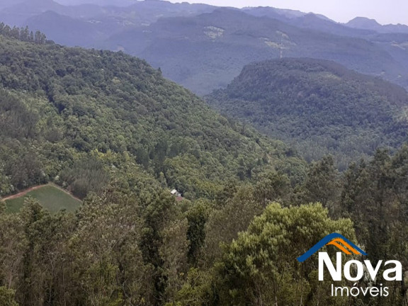 Imagem Imóvel à Venda,  em Linha Olinda - Nova Petrópolis