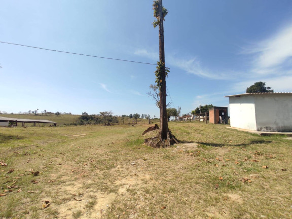 Imagem Chácara com 4 Quartos à Venda, 242 m² em Cercadinho - Alambari