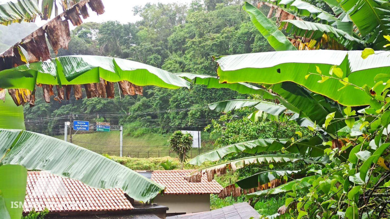 Imagem Terreno à Venda, 300 m² em Centro - Domingos Martins Imagem Terreno à Venda, 300 m² em Centro - Domingos Martins