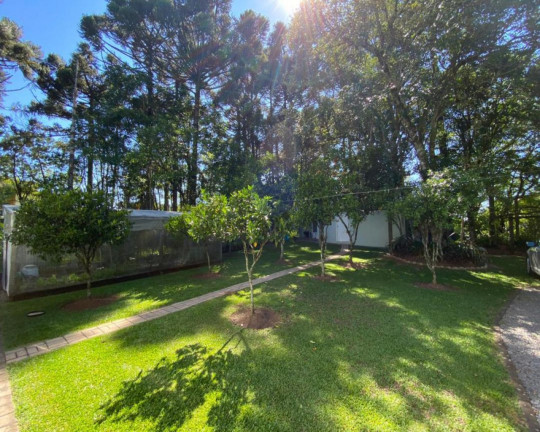 Imagem Imóvel com 3 Quartos à Venda, 218 m² em Juriti - Nova Petrópolis
