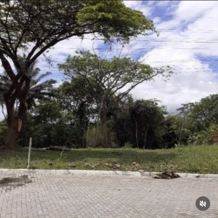 Imagem Terreno em Condomínio à Venda, 1 m² em Aldeia Dos Camarás - Camaragibe Imagem Terreno em Condomínio à Venda, 1 m² em Aldeia Dos Camarás - Camaragibe