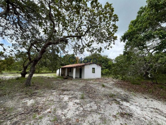 Imagem Terreno à Venda, 99.520 m² em Mal Cozinhado - Horizonte