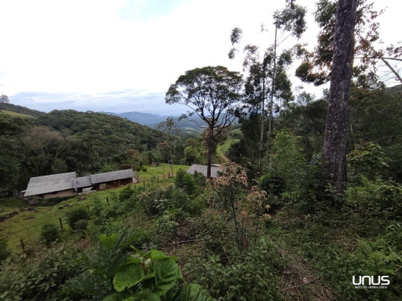 Imagem Fazenda à Venda, 13.000 m² em Pagará - São Pedro De Alcântara Imagem Fazenda à Venda, 13.000 m² em Pagará - São Pedro De Alcântara