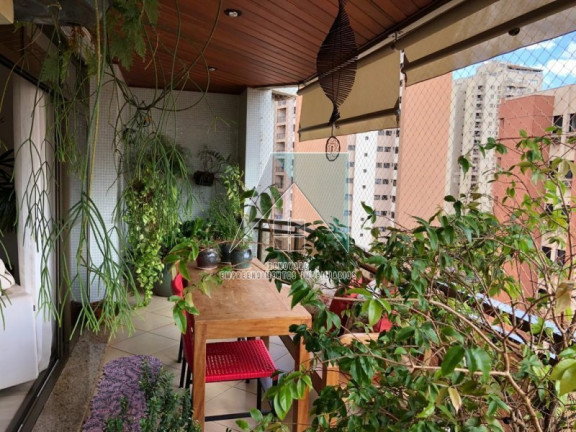 Imagem Apartamento com 3 Quartos à Venda, em Centro - Ribeirão Preto Imagem Apartamento com 3 Quartos à Venda, em Centro - Ribeirão Preto