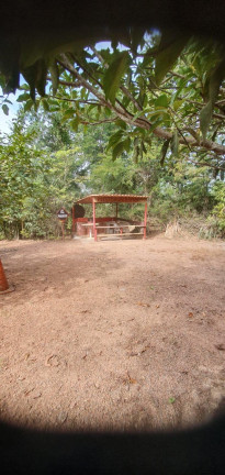 Imagem Chácara com 2 Quartos à Venda, 5.000 m² em Centro - Jarinu Imagem Chácara com 2 Quartos à Venda, 5.000 m² em Centro - Jarinu