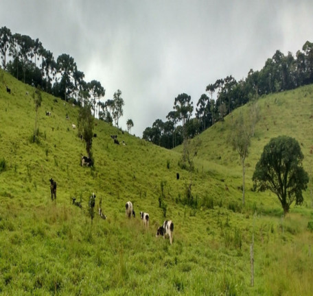 Imagem Imóvel à Venda, em Centro - Bocaina De Minas Imagem Imóvel à Venda, em Centro - Bocaina De Minas