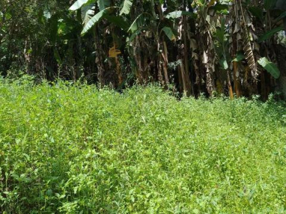 Terreno à Venda, 1.000 m² em Chácaras Copaco - Arujá
