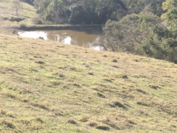 Imagem Imóvel à Venda, 242.000 m² em Santa Cruz Dos Matos - Itapetininga