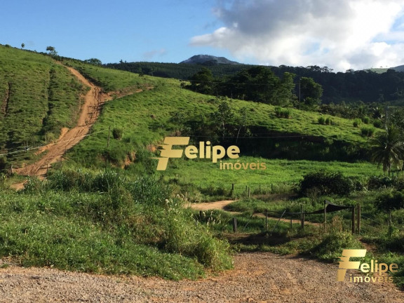 Imagem Imóvel com 1 Quarto à Venda, 55 m² em área Rural De Colatina - Colatina