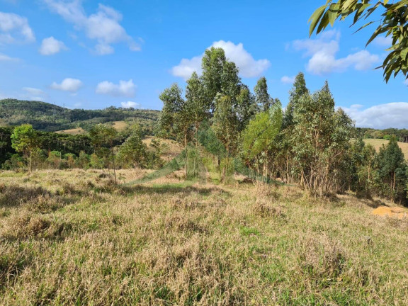 Imagem Chácara com 2 Quartos à Venda, 363.000 m² em Piracaia - Piracaia Imagem Chácara com 2 Quartos à Venda, 363.000 m² em Piracaia - Piracaia