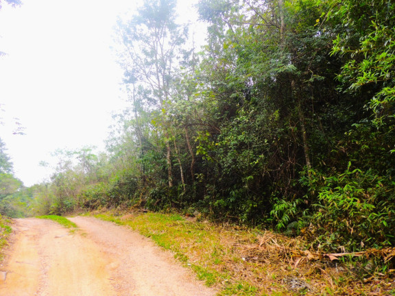 Imagem Terreno à Venda, 46.578 m² em Macacu - Garopaba Imagem Terreno à Venda, 46.578 m² em Macacu - Garopaba