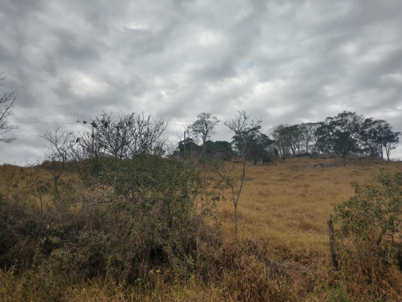 Imagem Chácara à Venda, 20.000 m² em Rio Pardo - Caldas Imagem Chácara à Venda, 20.000 m² em Rio Pardo - Caldas
