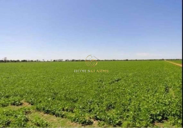 Imagem Imóvel com 3 Quartos à Venda, 11.829 m² em Zona Rural - Jussara
