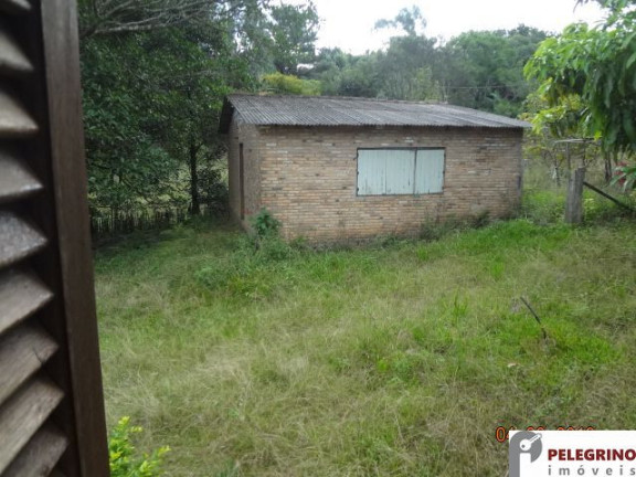 Imagem Imóvel com 3 Quartos à Venda, 45.000 m² em Zona Rural - Sentinela Do Sul Imagem Imóvel com 3 Quartos à Venda, 45.000 m² em Zona Rural - Sentinela Do Sul