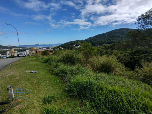 Imagem Terreno à Venda, 533 m² em Itacorubi - Florianópolis