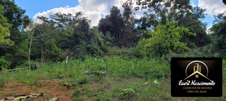 Imagem Fazenda à Venda, 8 m² em Zona Rural - Ubaitaba Imagem Fazenda à Venda, 8 m² em Zona Rural - Ubaitaba