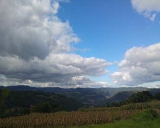 Terreno à Venda, 675 m² em Pinhal Alto - Nova Petrópolis
