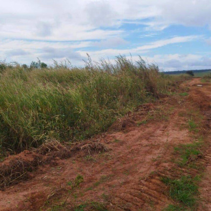 Imagem Fazenda à Venda,  em Dom Aquino