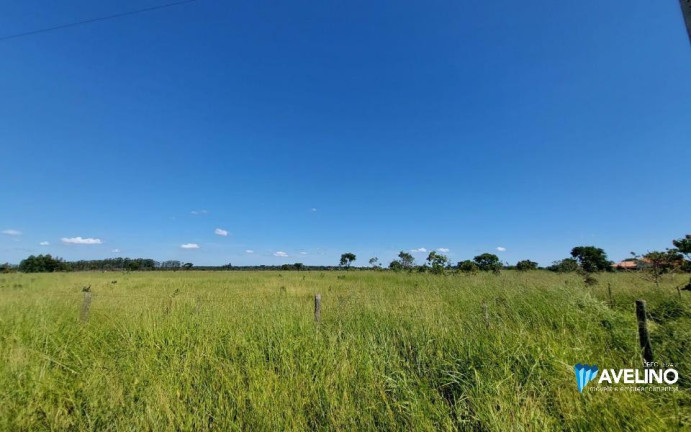 Imagem Terreno à Venda, 10.000 m² em Chácara Das Mansões - Campo Grande