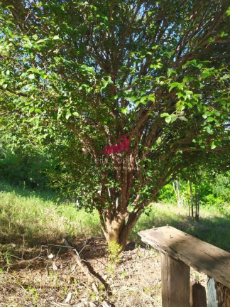 Imagem Chácara com 1 Quarto à Venda, 2.335 m² em São Caetano - Italva