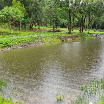 Imagem Imóvel com 3 Quartos à Venda,  em Tijucas Do Sul - Tijucas Do Sul