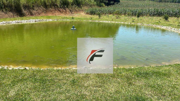 Imagem Chácara com 2 Quartos à Venda, 28.000 m² em Bacaetava - Colombo
