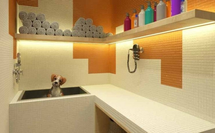 Imagem Imóvel com 1 Quarto à Venda, 33 m² em Tucuruvi - São Paulo Imagem Imóvel com 1 Quarto à Venda, 33 m² em Tucuruvi - São Paulo