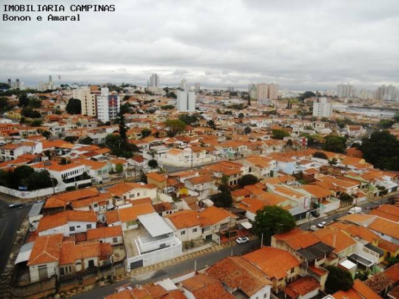 Imagem Cobertura com 3 Quartos à Venda, 290 m² em Jardim Proença - Campinas