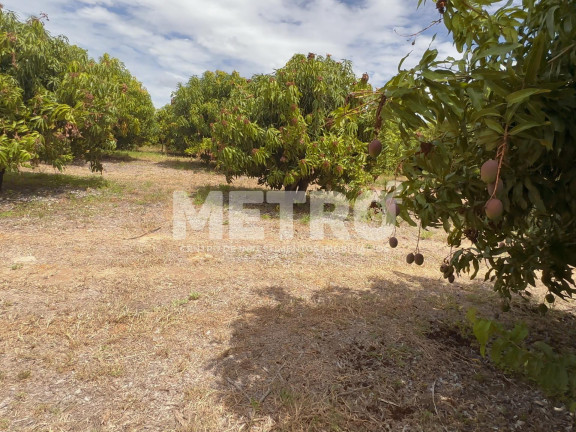Imagem Fazenda à Venda, em área Rual - Petrolina Imagem Fazenda à Venda, em área Rual - Petrolina