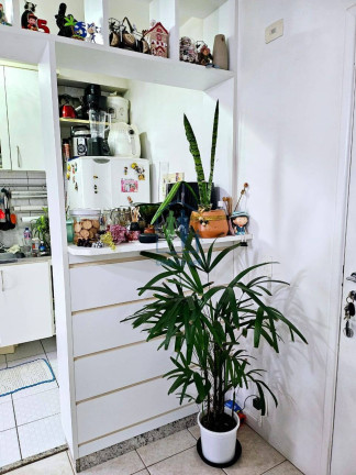 Imagem Apartamento com 2 Quartos à Venda, 48 m² em Interlagos - São Paulo Imagem Apartamento com 2 Quartos à Venda, 48 m² em Interlagos - São Paulo