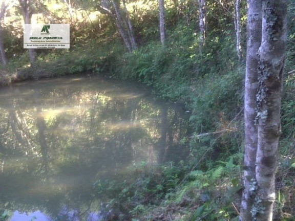 Imagem Fazenda à Venda, 84.700 m² em Bairro Do Marmelo - Mairiporã Imagem Fazenda à Venda, 84.700 m² em Bairro Do Marmelo - Mairiporã