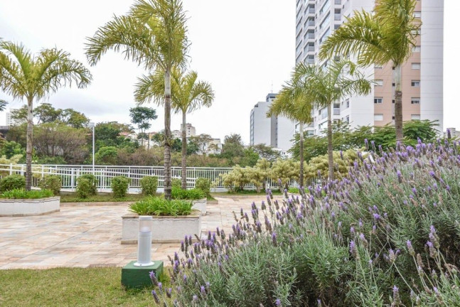 Imagem Apartamento com 4 Quartos à Venda, 171 m² em Aclimação - São Paulo Imagem Apartamento com 4 Quartos à Venda, 171 m² em Aclimação - São Paulo