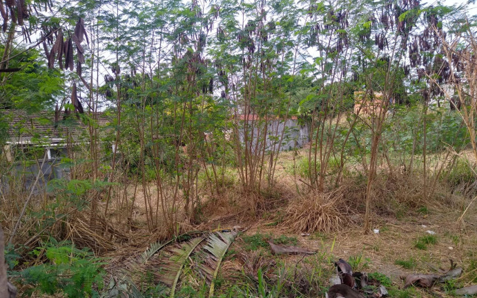 Imagem Terreno à Venda, 1.000 m² em Clube Dos Engenheiros - Araruama Imagem Terreno à Venda, 1.000 m² em Clube Dos Engenheiros - Araruama