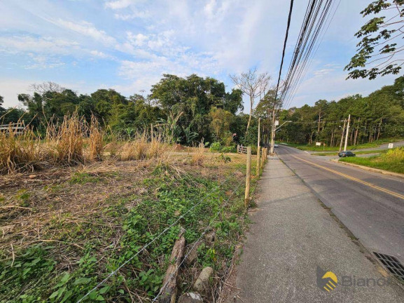 Imagem Terreno à Venda, 7.500 m² em água Verde - Blumenau Imagem Terreno à Venda, 7.500 m² em água Verde - Blumenau