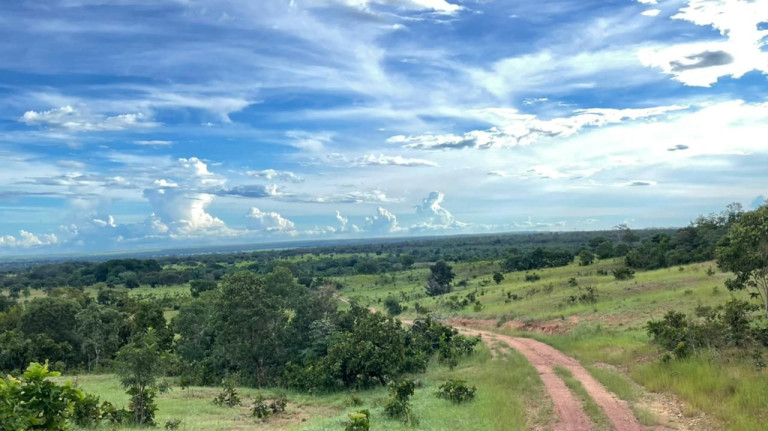 Imagem Fazenda à Venda, 500 m² em Zona Rural - Aliança Do Tocantins