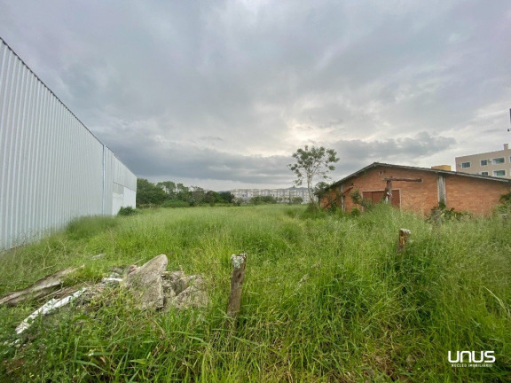 Imagem Terreno à Venda, 5.435 m² em Sertão Do Maruim - São José Imagem Terreno à Venda, 5.435 m² em Sertão Do Maruim - São José