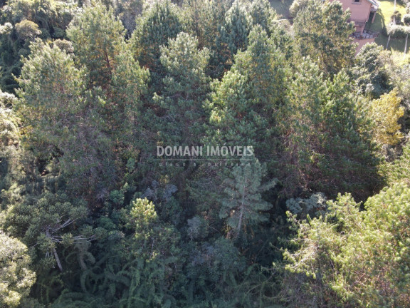 Imagem Terreno à Venda, 4.300 m² em Região Do Alto Da Boa Vista - Campos Do Jordão Imagem Terreno à Venda, 4.300 m² em Região Do Alto Da Boa Vista - Campos Do Jordão