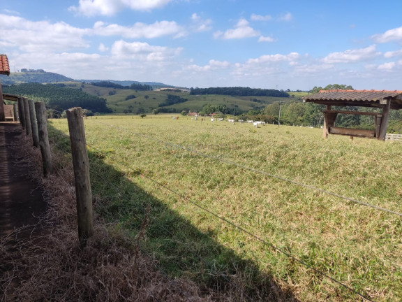 Imagem Imóvel com 3 Quartos à Venda, 459.800 m² em Centro - Itapetininga