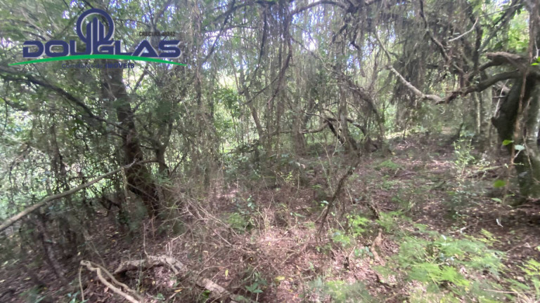 Imagem Terreno à Venda, 5.000 m² em Viamão Imagem Terreno à Venda, 5.000 m² em Viamão