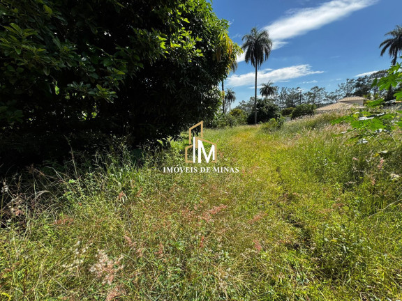 Imóvel com 2 Quartos à Venda, 1.000 m² em Vivendas Santa Monica - Igarapé