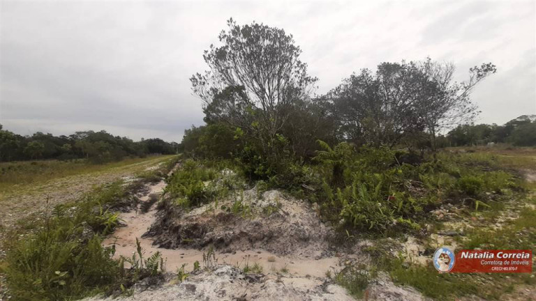 Imagem Terreno à Venda, 5 m² em Tupy - Itanhaem