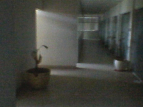 Imagem Imóvel à Venda, 800 m² em Mansões Santo Antonio - Campinas Imagem Imóvel à Venda, 800 m² em Mansões Santo Antonio - Campinas