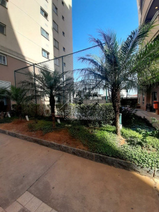 Imagem Apartamento com 3 Quartos à Venda, 62 m² em Vila Marieta - São Paulo
